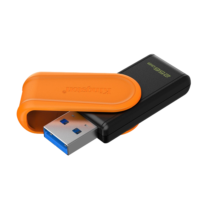 Kingston DataTraveler Exodia 256GB