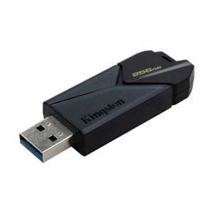 Kingston DataTraveler Exodia Onyx Thumb 256GB - Image 1