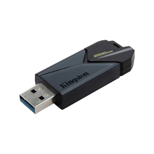 Kingston DataTraveler Exodia Onyx Thumb 256GB - Image 1
